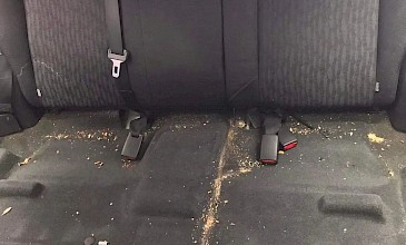 Βιοκαθαρισμοί