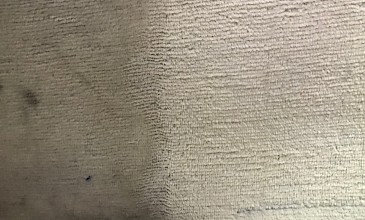 Βιοκαθαρισμοί