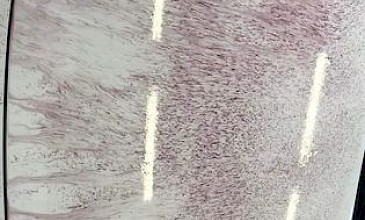 Προστασία Χρώματος: Wax Paste-Spray Wax- Sealants